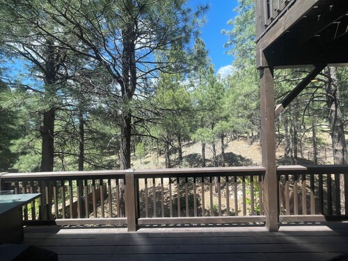 Flagstaff Family Retreat — Game Room, Gym, Fire Pit & Forest Fun!
