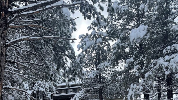 A snow-covered lodge with a rustic exterior, surrounded by dense evergreen trees. - Flagstaff Family Retreat — Game Room, Gym, Fire Pit & Forest Fun! (Flagstaff)