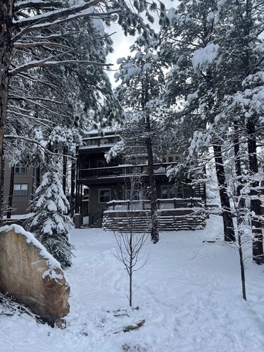 Flagstaff Family Retreat — Game Room, Gym, Fire Pit & Forest Fun!