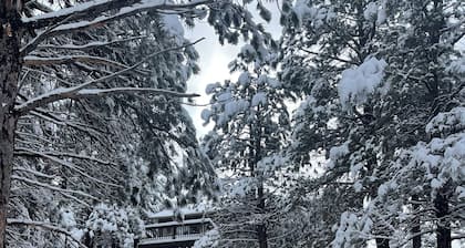 Flagstaff Family Retreat — Game Room, Gym, Fire Pit & Forest Fun!