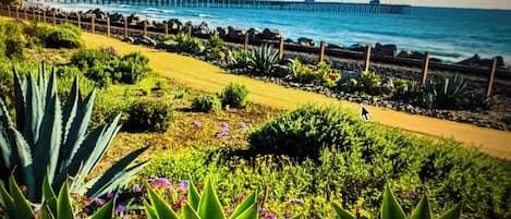 Sun-loungers, beach towels