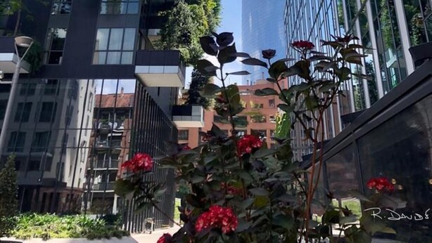 Un immeuble de grande hauteur doté de nombreux balcons recouverts de verdure.