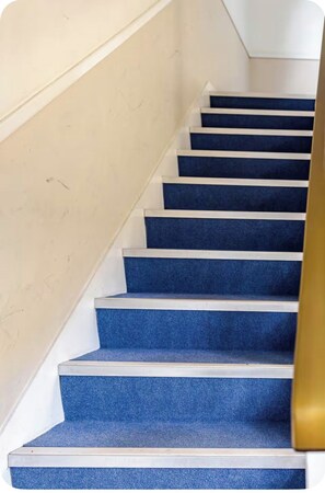Un escalier dont les marches sont recouvertes d’une moquette bleue et dont la rampe est blanche.