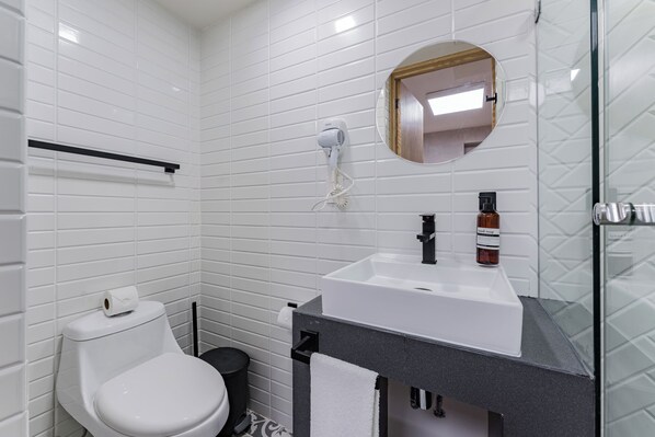 Hair dryer, bidet - Comfortable Private Suite in Condesa area (18) (Mexico)