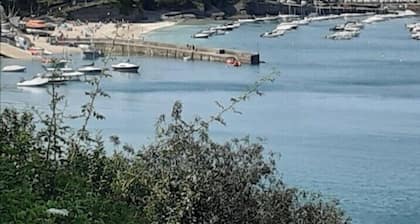 Newquay Haven caravan 42x14 with Ocean Views