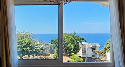 L'écrin jaune : Appartement avec vue mer à 180° !