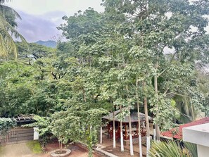 Garden - Bamboo Nest (Pollachi)