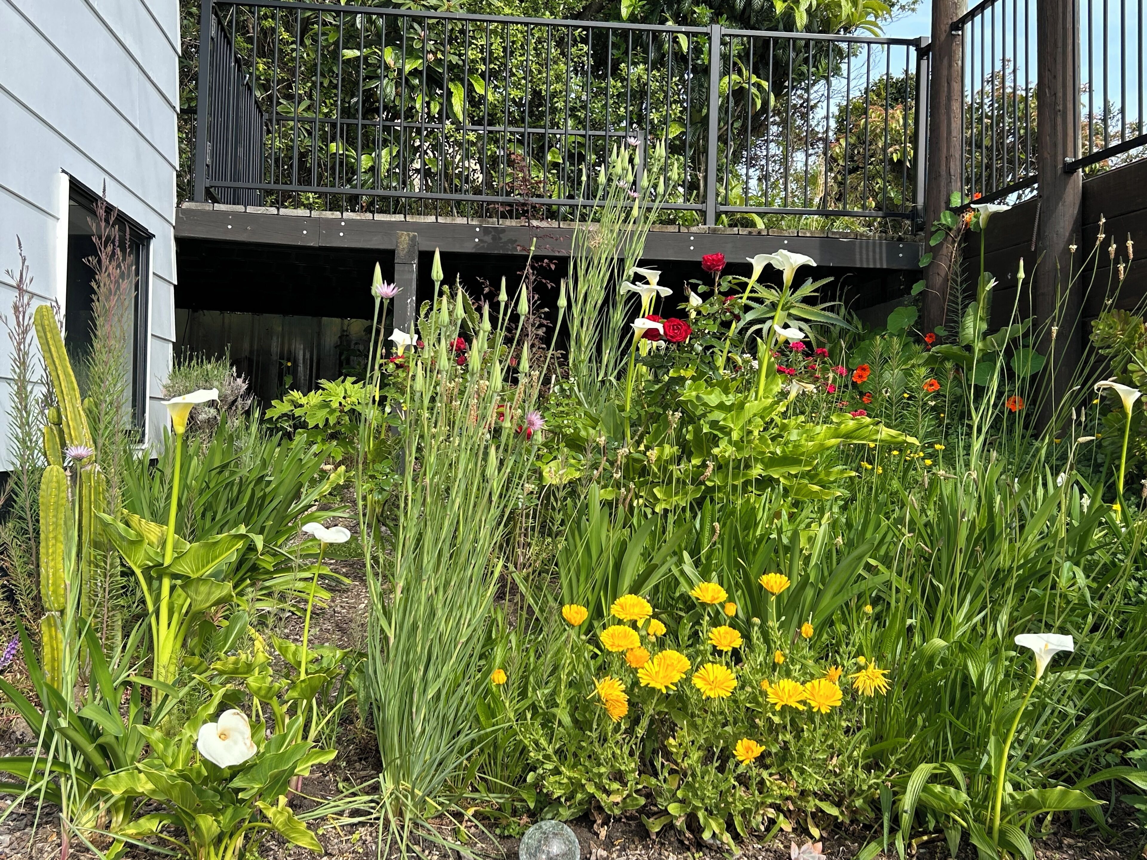 Áreas de la propiedad