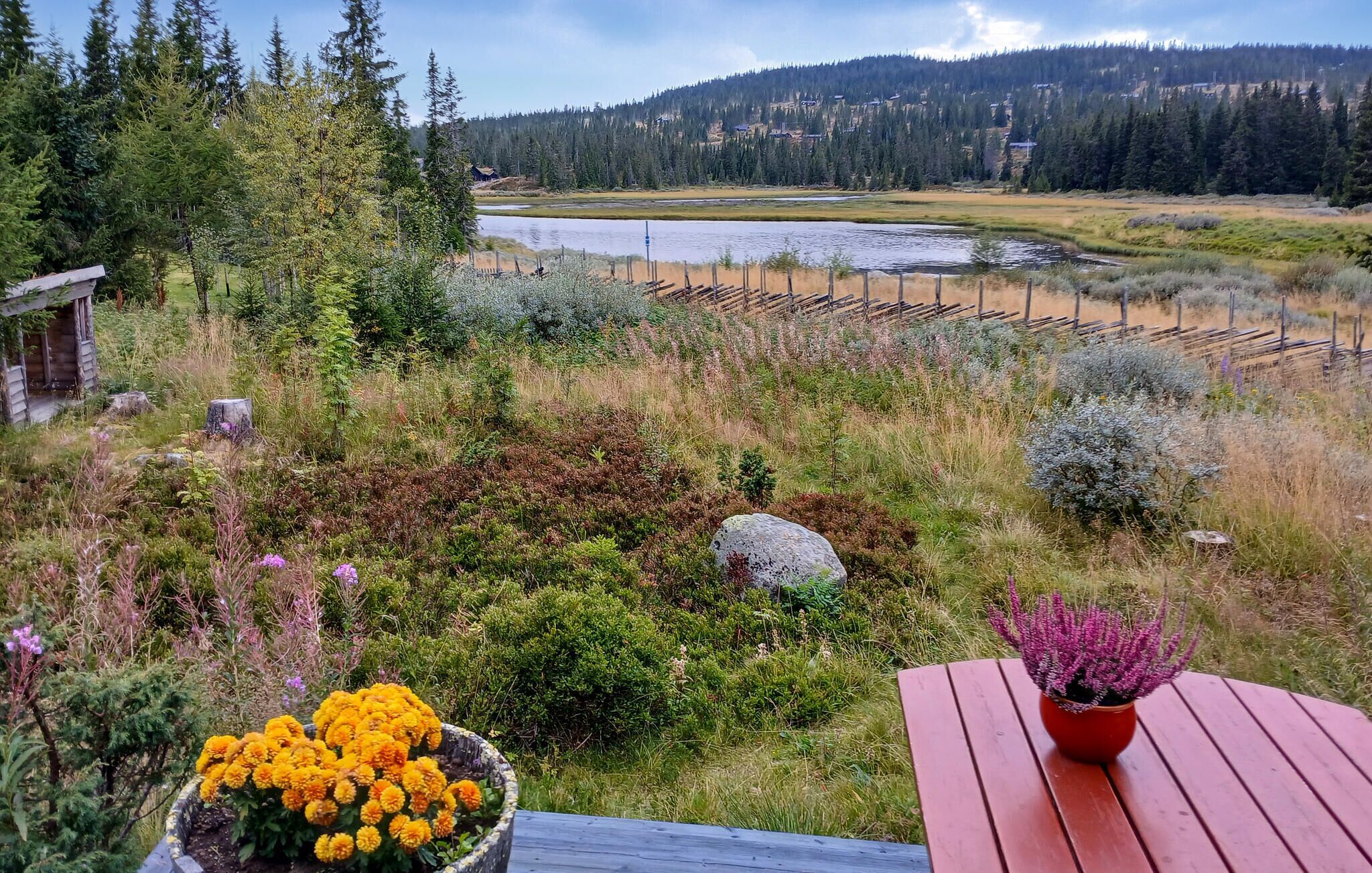 Ein Garten mit einer Holzterrasse, einem Blumentopf mit gelben Blüten und einem Blick auf einen See und Wald im Hintergrund.