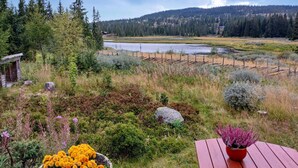 A garden with a wooden deck, a flower pot with yellow flowers, and a view of a lake and forest in the background. - Awesome home in Lillehammer with sauna (Lillehammer)