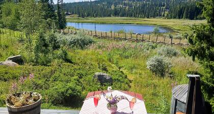 Awesome home in Lillehammer with sauna