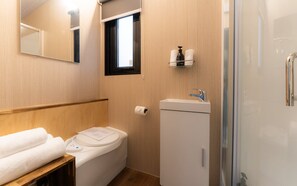 A compact bathroom with a toilet, a sink, and a mirror. - Weka Pass Cottages 3 by Tiny Away (Waikari)