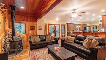 TV, fireplace, books