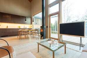 Télévision, cheminée, chaîne hi-fi