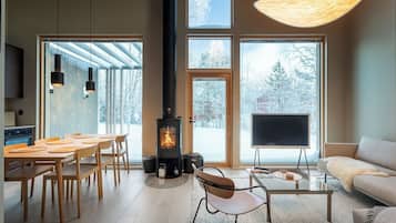 Télévision, cheminée, chaßne hi-fi