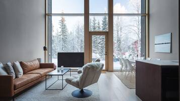 TV, caminetto, impianto stereo