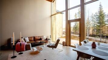 TV, fireplace, stereo