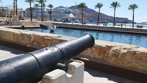 Un cañón històric al costat d'una passejada marítima, amb palmeres i vaixells de creuer al fons.