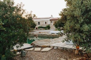 Pool - The Old Donkey Suite (Loulé)