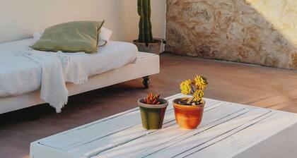 The Old Donkey Suite