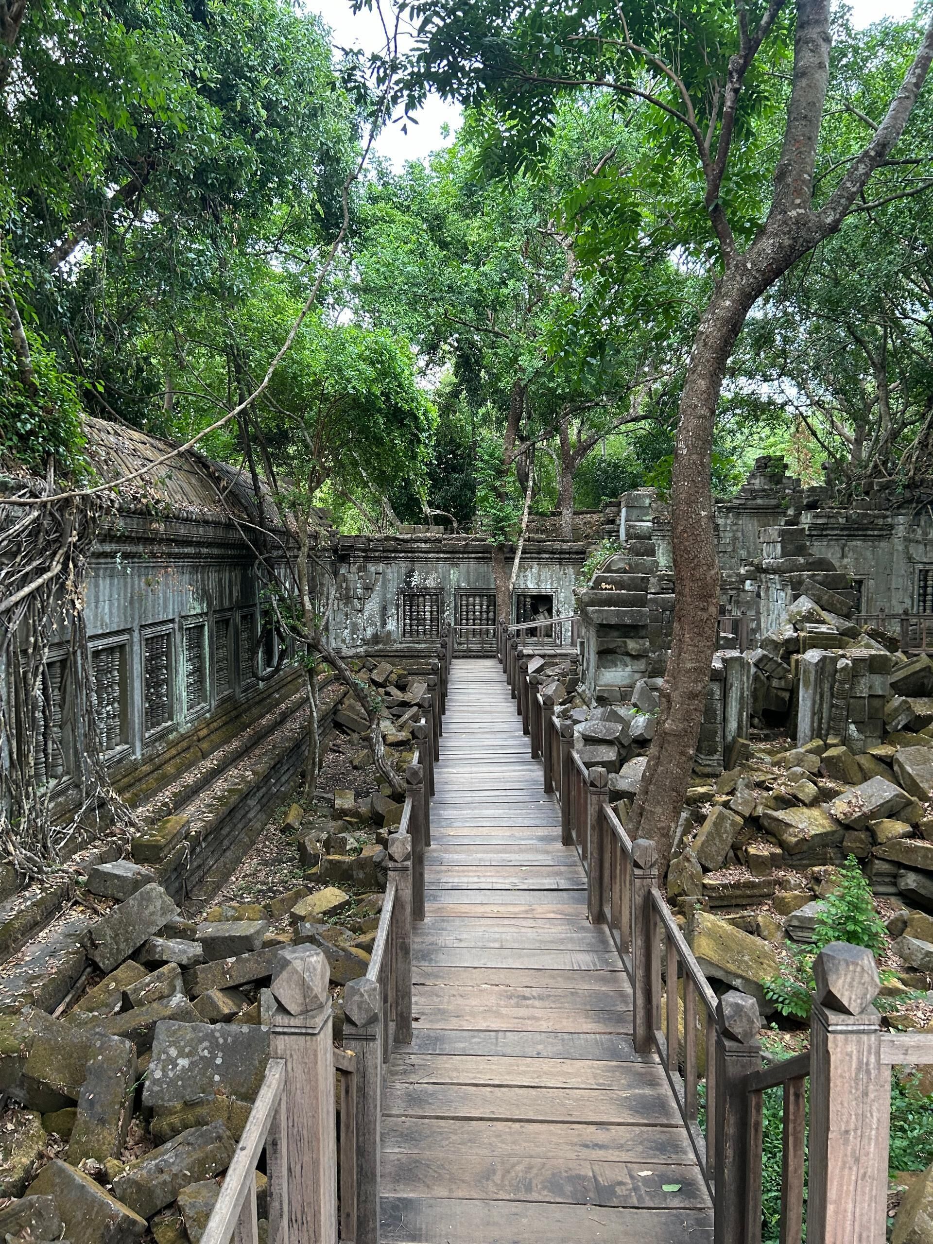 生態之旅