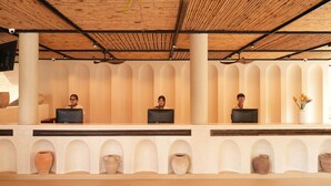 Une salle d’accueil avec trois employés devant des ordinateurs, un plafond en bois et des pots en terre cuite accrochés au mur.