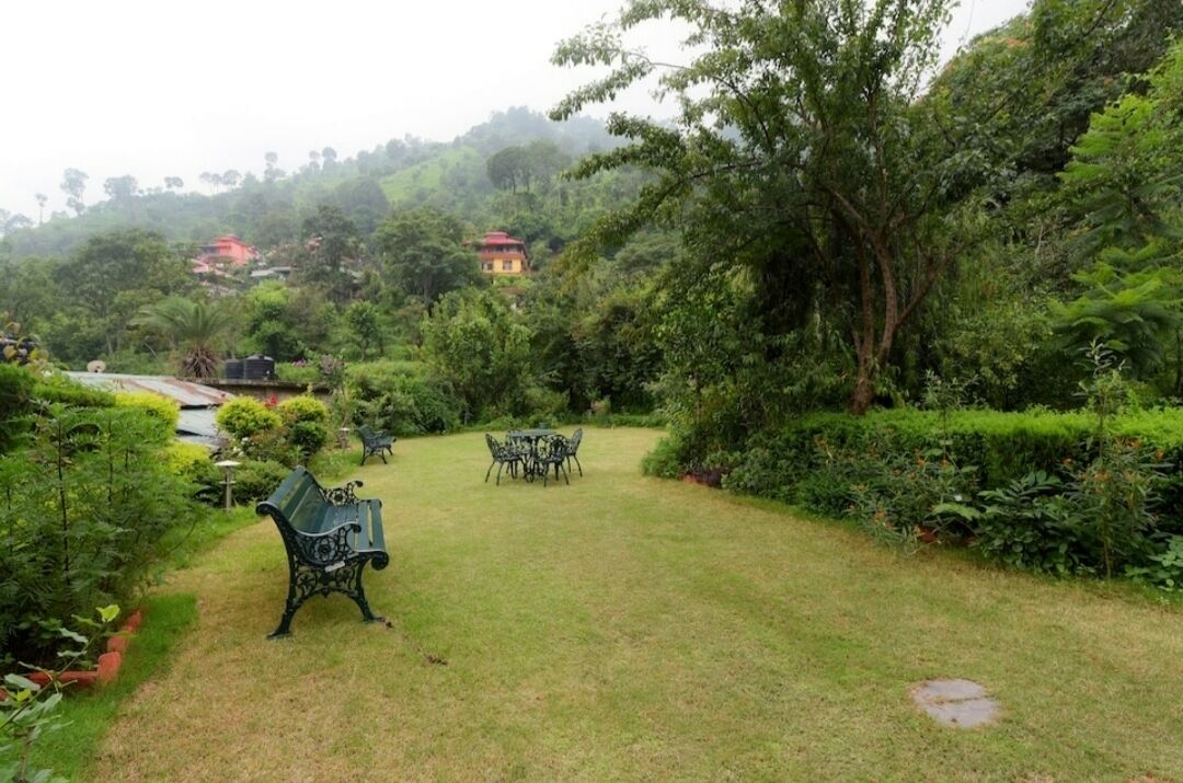 A lush garden with a bench and a table, surrounded by dense greenery and trees.