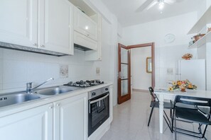 Fridge, oven, stovetop, cookware/dishes/utensils