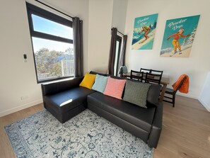 Smart TV, fireplace, books