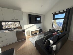 Smart TV, fireplace, books