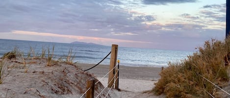 Nära stranden