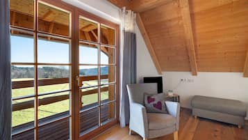 Télévision, table de tennis de table, chaßne hi-fi