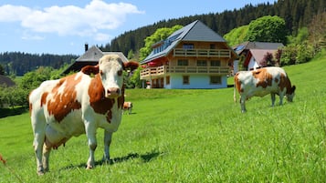 Enceinte de lâhĂ©bergement