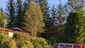 Una furgoneta roja Volkswagen estacionada en una zona verde exuberante con árboles frondosos y una casa al fondo.