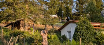 Ferienhaus 'Ferienhaus Goldisthal' mit Bergblick, privater Terrasse und eigenem Garten
