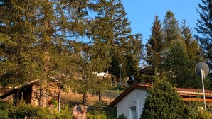 Un paisaje rural con una casa rodeada de árboles y una cerca.