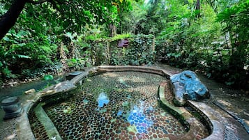 Aguas termales