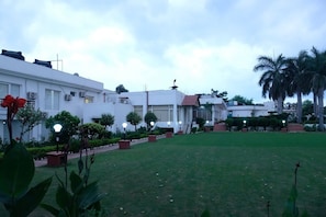 Jardí