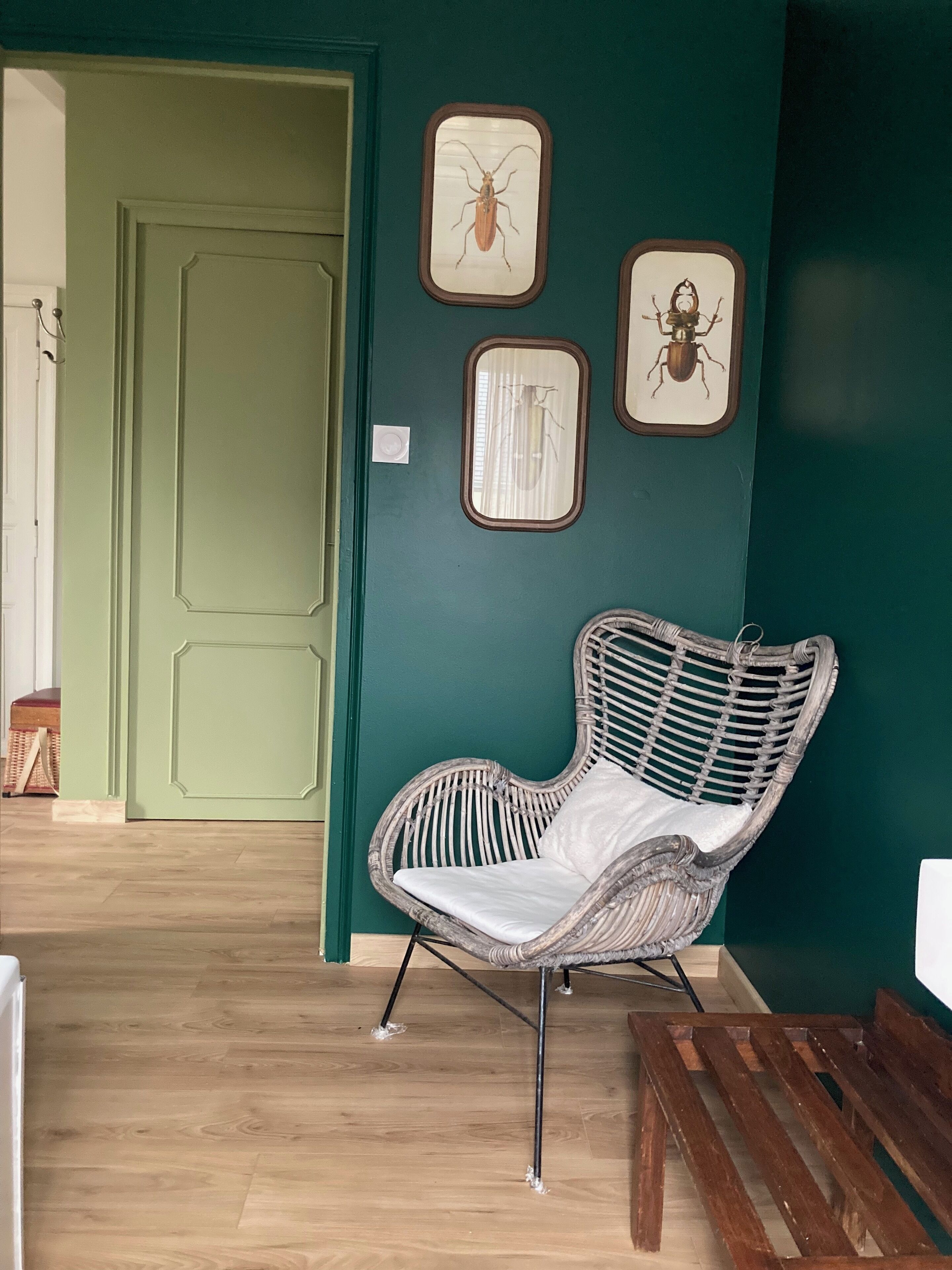A room with a green door, a wicker chair, and three framed insect pictures on the wall.