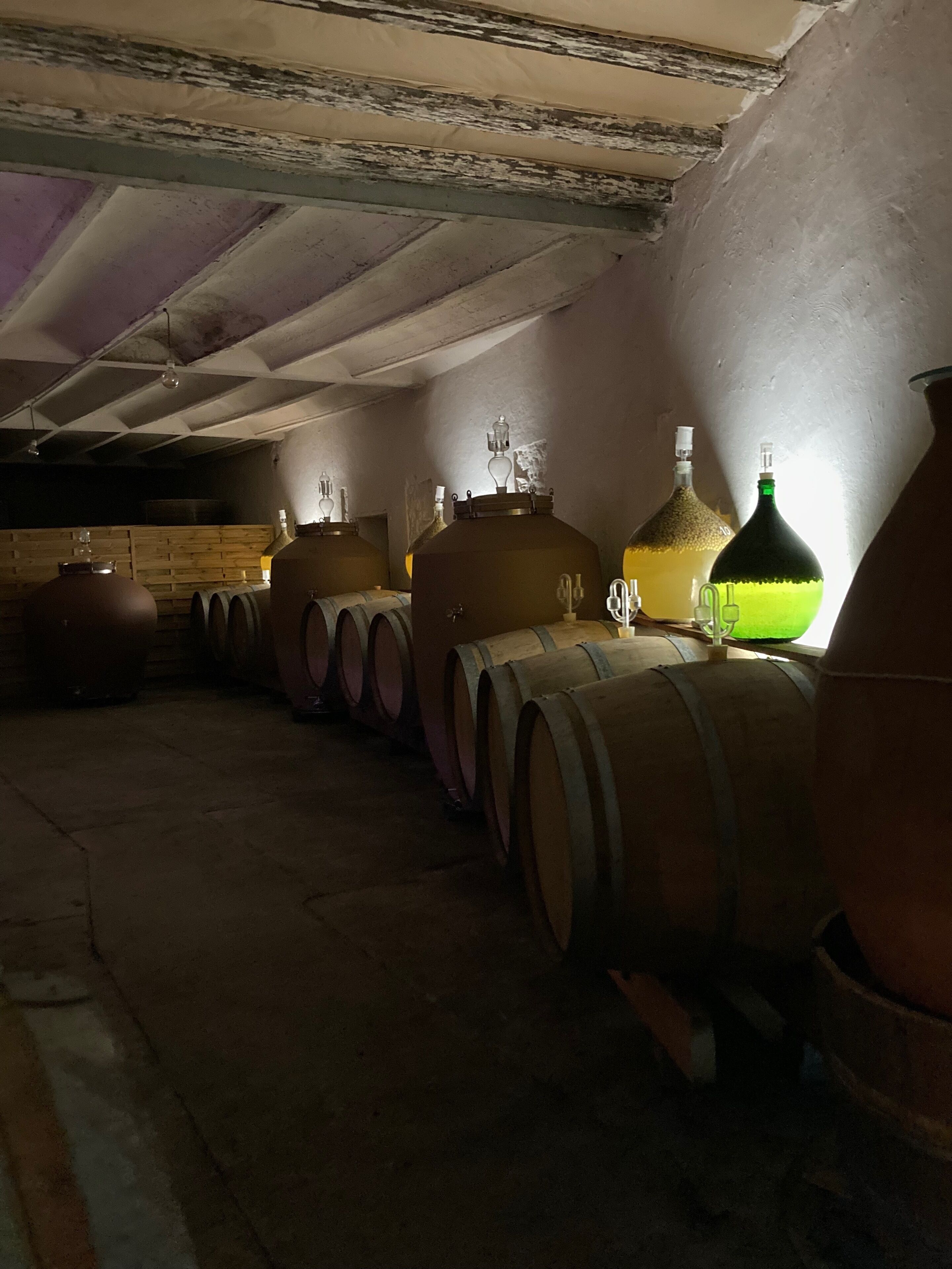 Un sótano con barriles de madera y grandes recipientes de cerámica, presumiblemente para añejar vino.