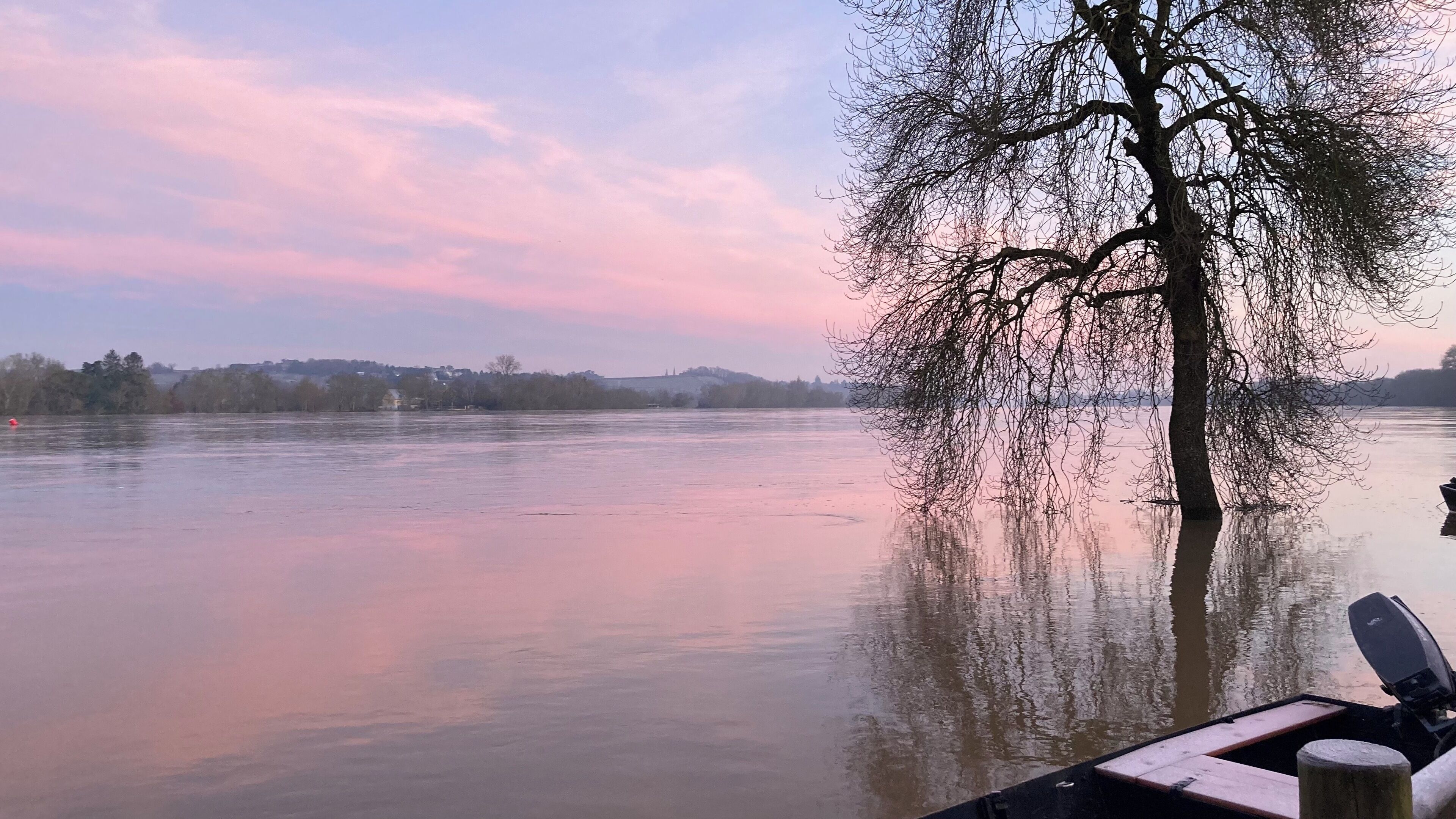 Un río con un árbol en primer plano y una barca amarrada a la derecha.