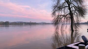 Un río con un árbol en primer plano y una barca amarrada a la derecha.