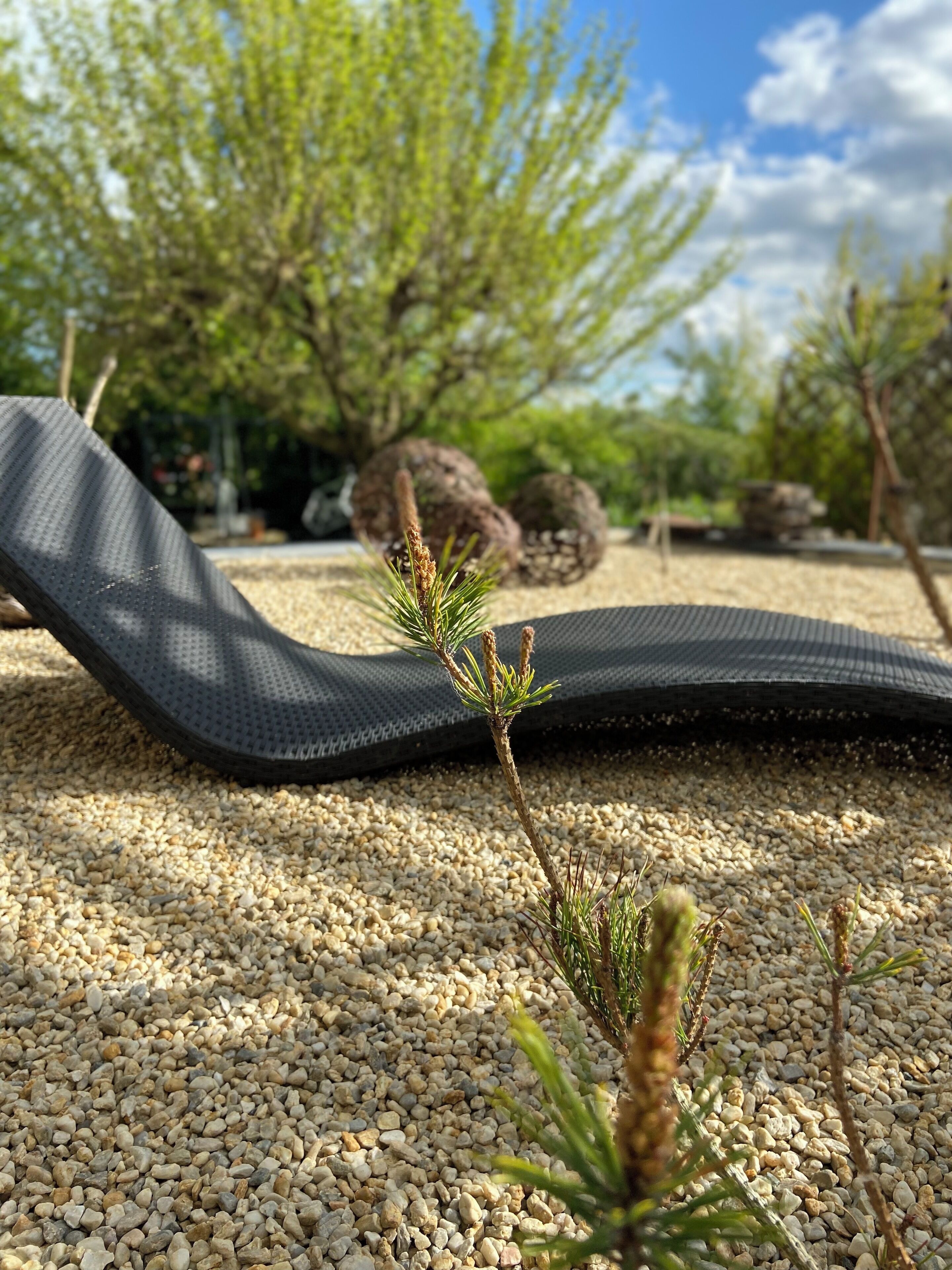 Un tapis noir sur une surface de gravier, avec une petite plante au premier plan.