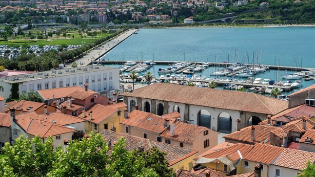 A marina with boats docked, surrounded by buildings with red-tiled roofs. - Bellavista Apartment Koper (Koper)