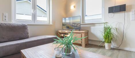 Fernseher, Kamin