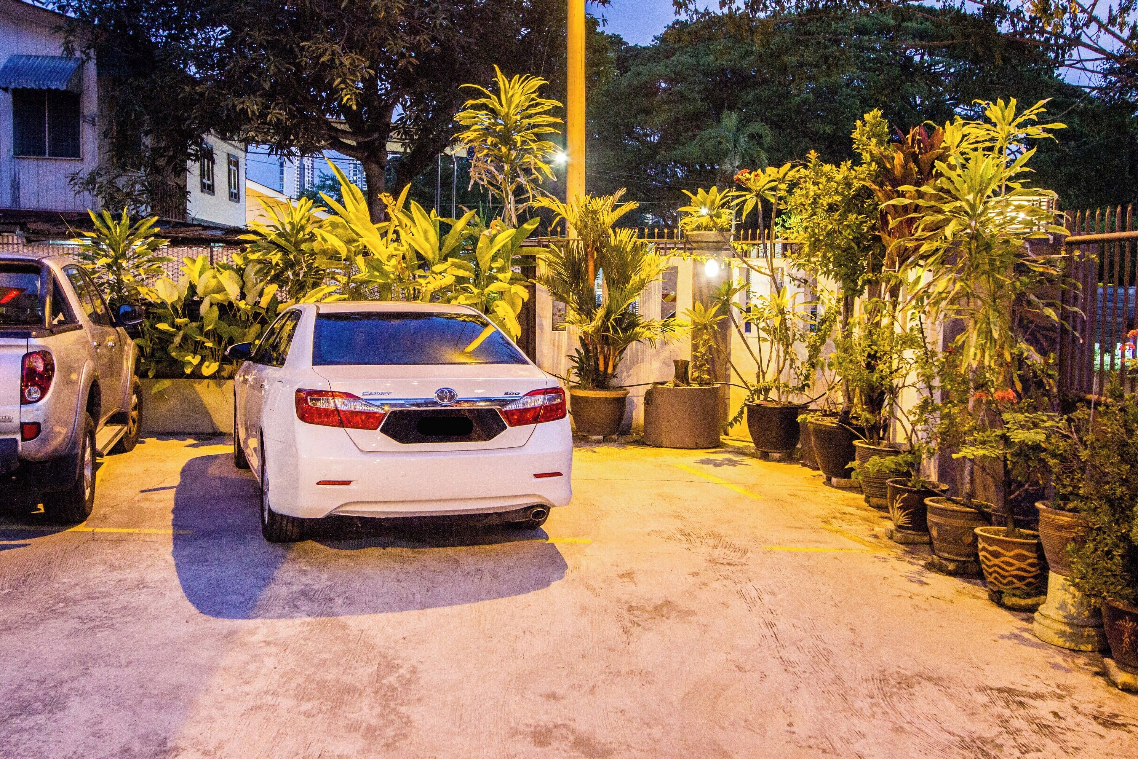 A white car parked in a driveway with potted plants and a fence in the background.