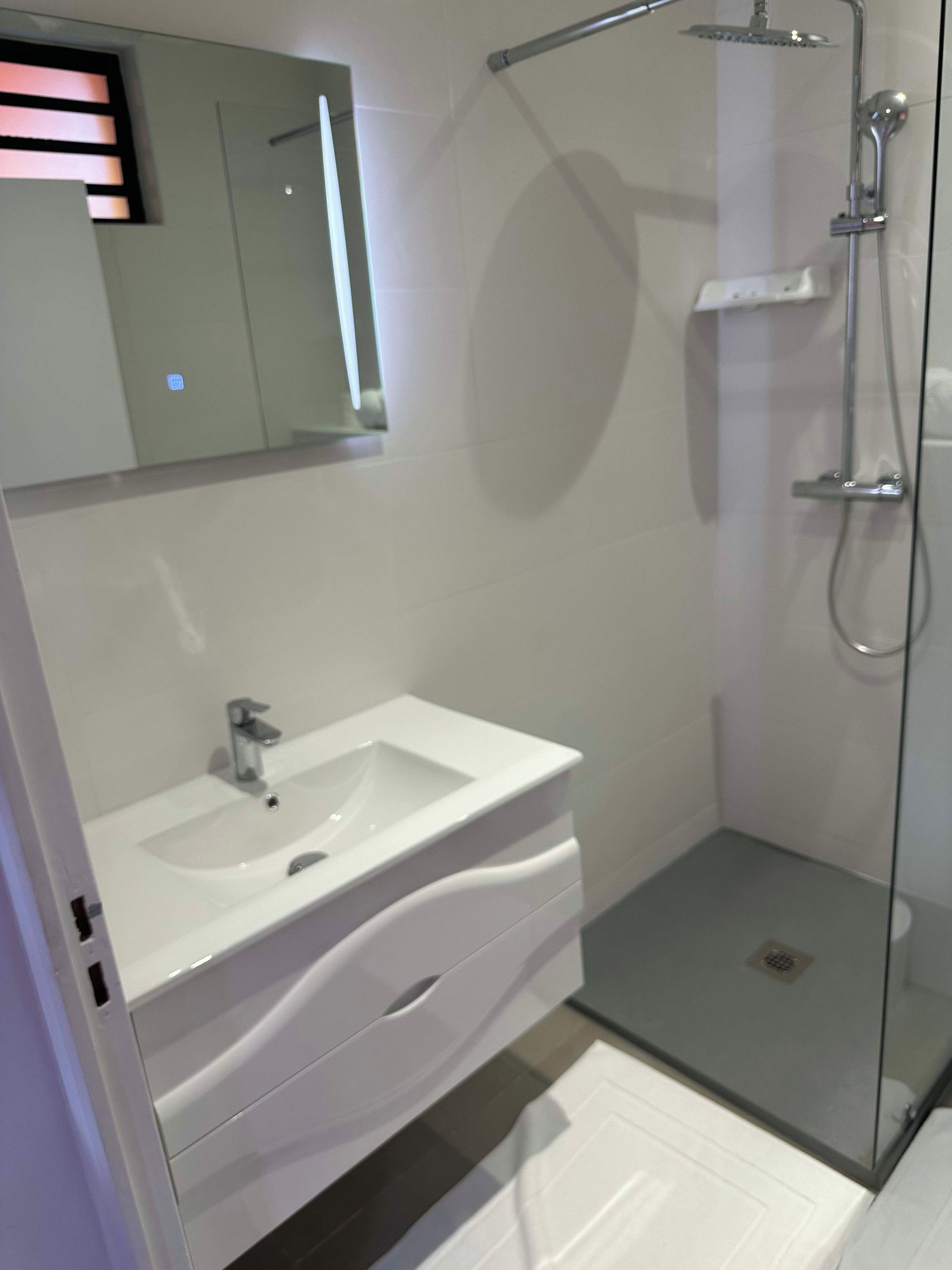 A modern bathroom with a glass shower enclosure, a white sink, and a mirror above the sink.