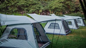 A row of tents set up in a grassy area with trees in the background. - Shose Campsite (Moshi)