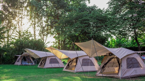A row of beige tents with windows, set up in a grassy area with trees in the background. - Shose Campsite (Moshi)