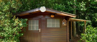 Duinoord 24 bungalow with privacy in green holiday environment